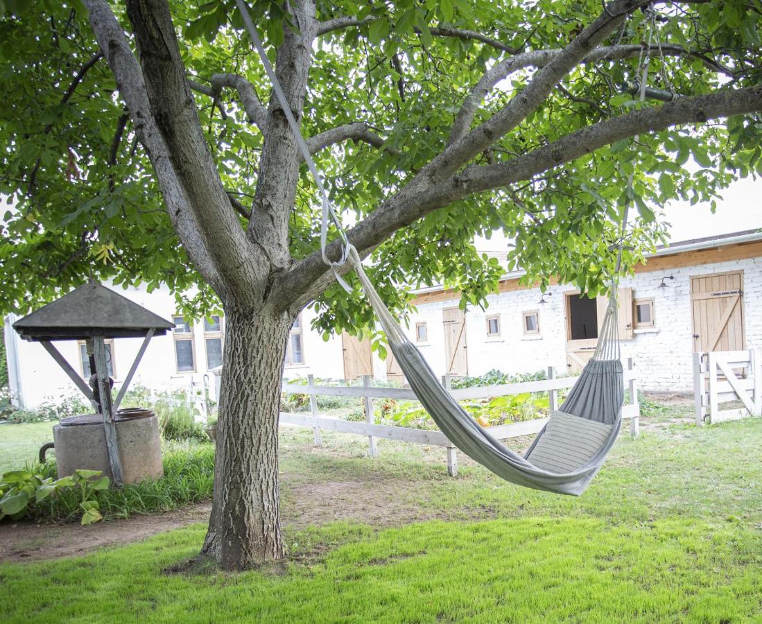 Apartament Cozy Airport Vecsés Zewnętrze zdjęcie