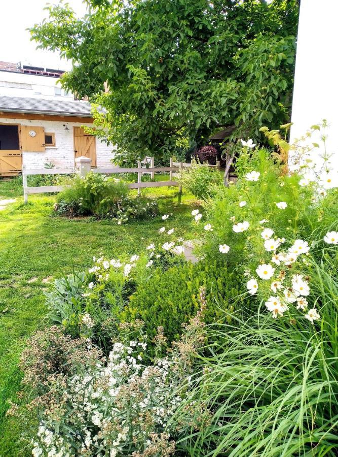 Apartament Cozy Airport Vecsés Zewnętrze zdjęcie